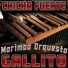 Marimba Orquesta Gallito