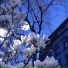 Emorizu