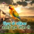 Premi Amjad