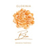 Gloxinia