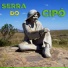 Renato Sfera