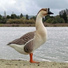 Goose