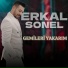 Emir Gökkaya & Erenflex & ZETH INC