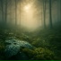 Velune, Meditation Music