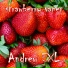 Andrew EXL
