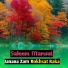 Saleem Marwat