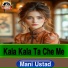 Mani Ustad