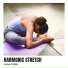Yoga Tribe