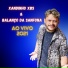 XANDINHO XBS, Balanço da Sanfona