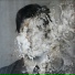 Louis Jucker