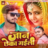 Vivek Deewana feat. Anjali Arya