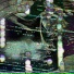Fortxna