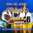 Organizacion Apache16