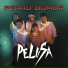 Pelusa