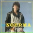 Los Noerma del Perú