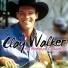 Clay Walker