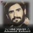 Ahmad Zebari
