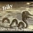 Triky