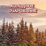 Сергей Грищук