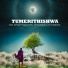 Sela Ninja feat. Mkoloni, Experience, TK Nendeze