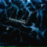 Nuage