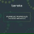 Baraka Production Music