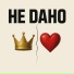НЕКО