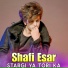 Shafi Esar
