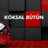 Köksal Bütün