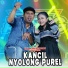 Syahiba Saufa feat. Ageng Music, Brodin