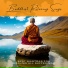 Meditating Buddha