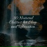 Meditação Clube, Natural Sounds, Alpha Brain Waves