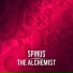 Spinus
