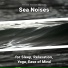 Wave Sounds, Ocean Sounds, Nature Sounds
