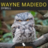 Wayne Madiedo