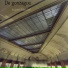 De Gonzague