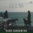 Saro Vardanyan
