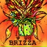 BRIZZA