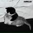AMIRICLUB