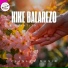 Kike Balarezo