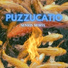 Puzzucatio