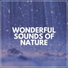 The Sound of The Rain