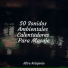Meditaciónessa, Música Relaxante, Dormir