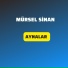 Mürsel Sinan