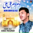 Zakir Ali Abbas Musawar