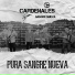 Cardenales Sangre Nueva