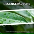 Regen, Regengeräusche, Naturgeräusche