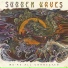 Sudden Waves