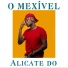 O MEXÍVEL