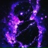 VXNT1K, Darky -